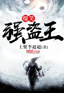 爆笑强盗王封面