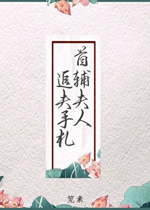 首辅夫人追夫手札封面