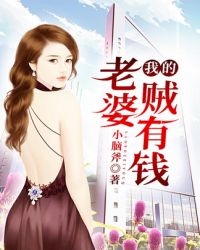 我的老婆贼有钱封面