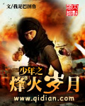 少年之烽火岁月封面