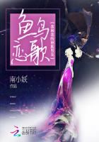 鱼鸟恋歌封面