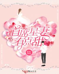 首席星妻有点甜封面