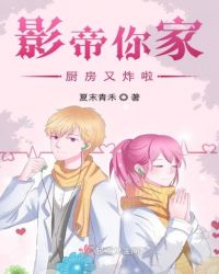 影帝你家厨房又炸啦封面