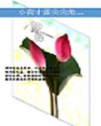 小荷才露尖尖角封面