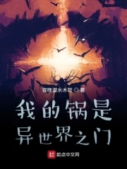 我的锅是异世门封面