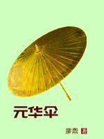 元华伞封面