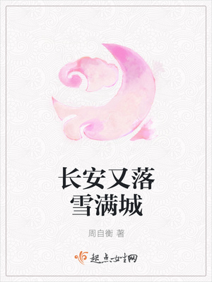 长安又落雪满城封面