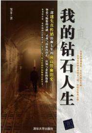 我的钻石人生封面