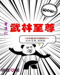 重生之武林至尊封面