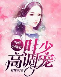 闪婚小甜妻：叶少高调宠封面