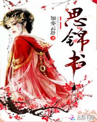 思锦书封面