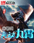 兵动九霄封面