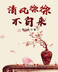 清风徐徐不自来封面