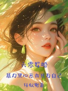 搬空全家资本家小姐为国开战斗机封面