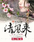 清风来封面