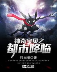 神奇宝贝之都市降临封面