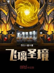 飞璃圣境封面