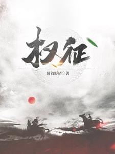 权征封面