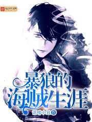 暴狼的海贼生涯封面