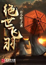 绝世飞羽封面