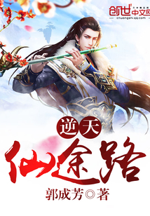 逆天仙途路封面