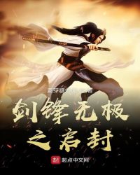 剑锋无极之启封封面