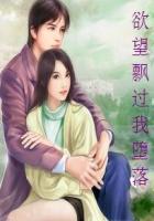 欲望飘过我堕落封面