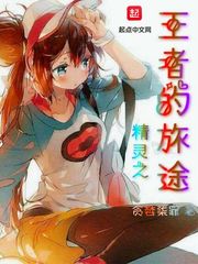 精灵之王者的旅途封面