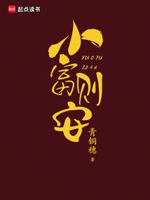 小富则安封面