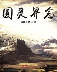 圆灵界念封面