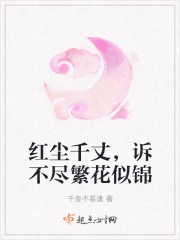 红尘千丈,诉不尽繁花似锦封面