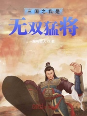 三国之我是无双猛将封面