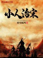 小人治宋封面
