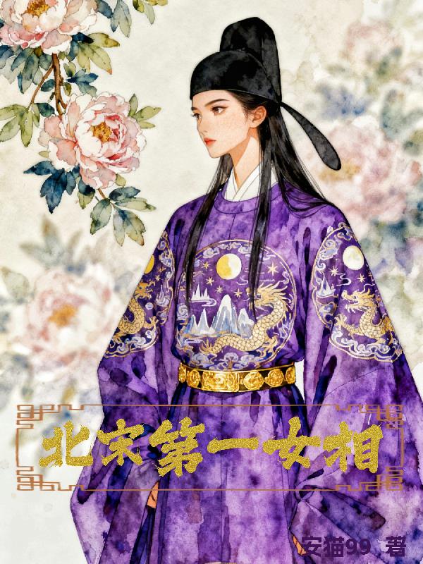 北宋第一女相封面