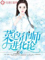 菜鸟律师进化论封面