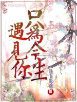 只为今生遇见你封面