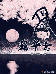 月落不知霜华意封面