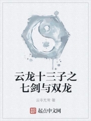 云龙十三子之七剑与双龙封面