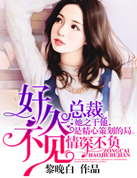 情深不负，总裁好久不见封面