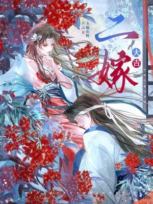 二嫁大吉封面