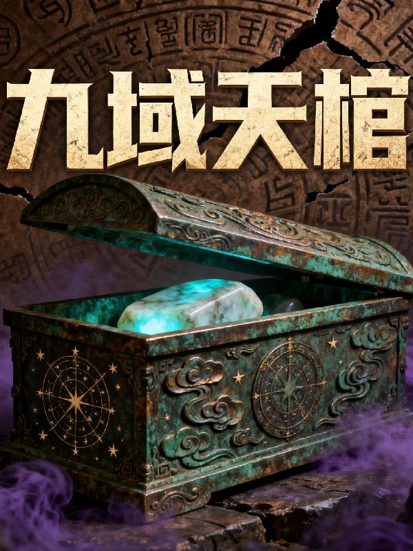 九域天棺封面