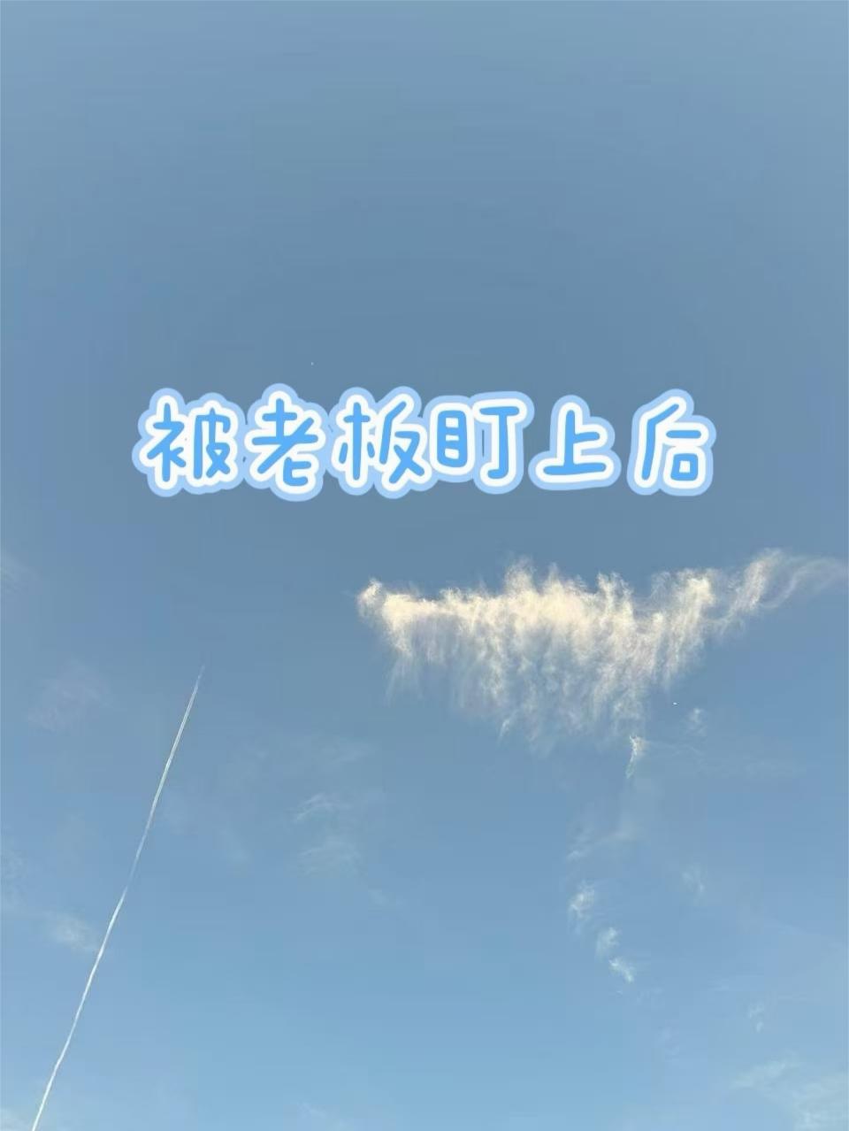 被老板盯上后封面