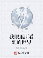 我眼里所看到的世界封面