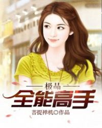 极品全能高手封面