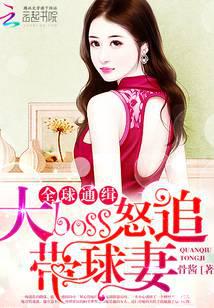 全球通缉：大boss怒追带球妻封面