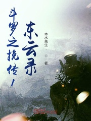 斗灵之挽传1东云录封面