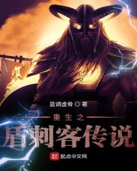 重生之盾刺客传说封面