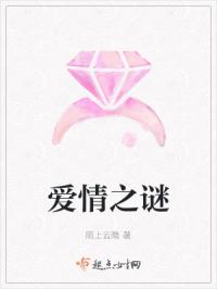 爱情之谜封面