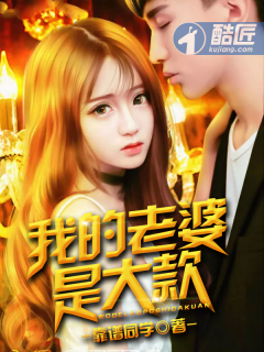 我的老婆是大款封面