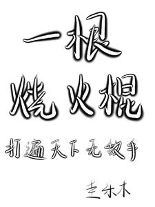 一根烧火棍，打遍天下无敌手封面